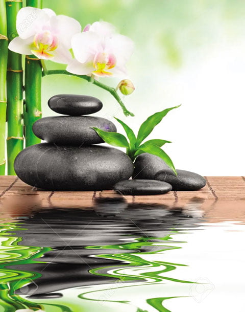 101+ Mẫu Hình ảnh Spa Thiên Nhiên đẹp – Xu Hướng Hiện Nay