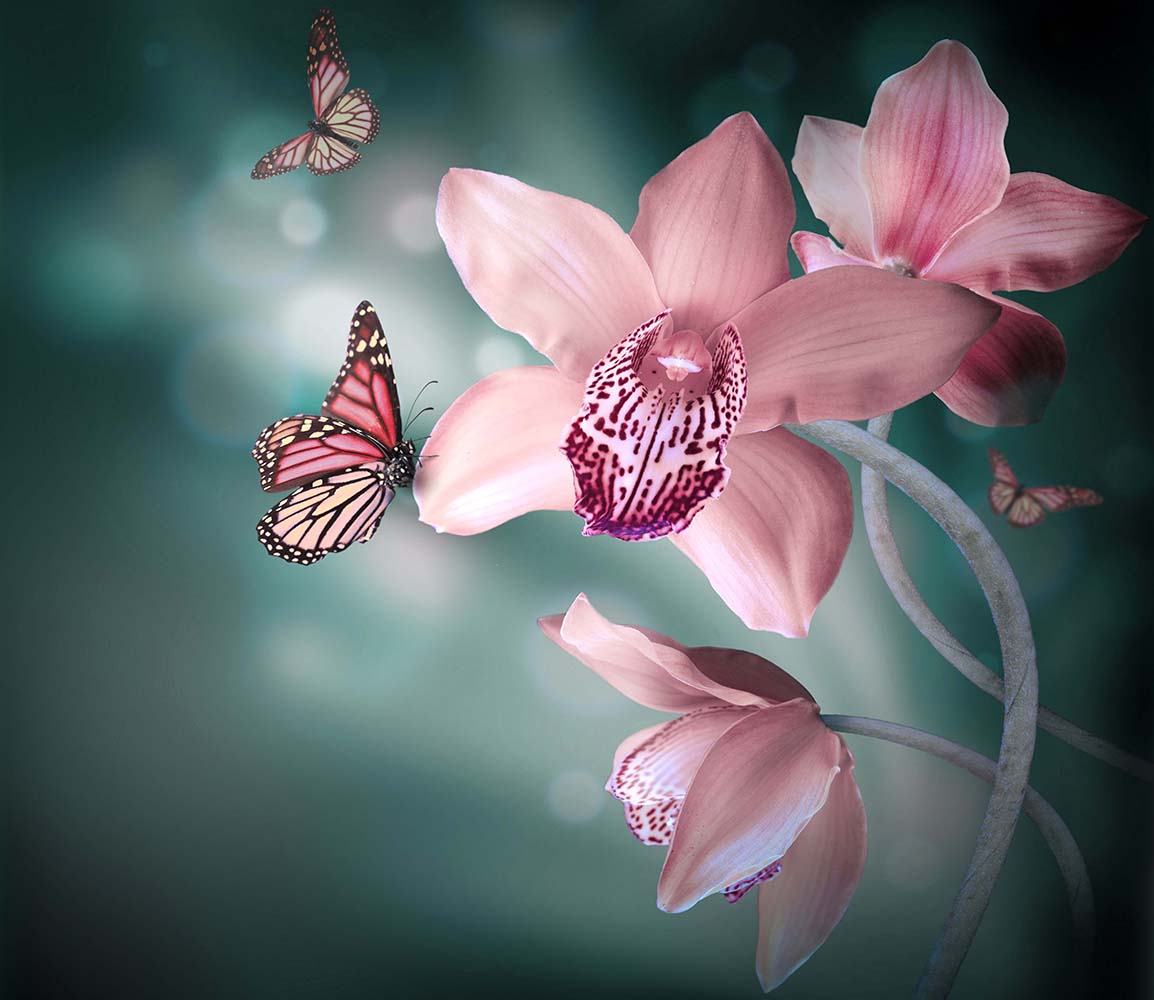 101+ Mẫu Hình ảnh Spa Thiên Nhiên đẹp – Xu Hướng Hiện Nay