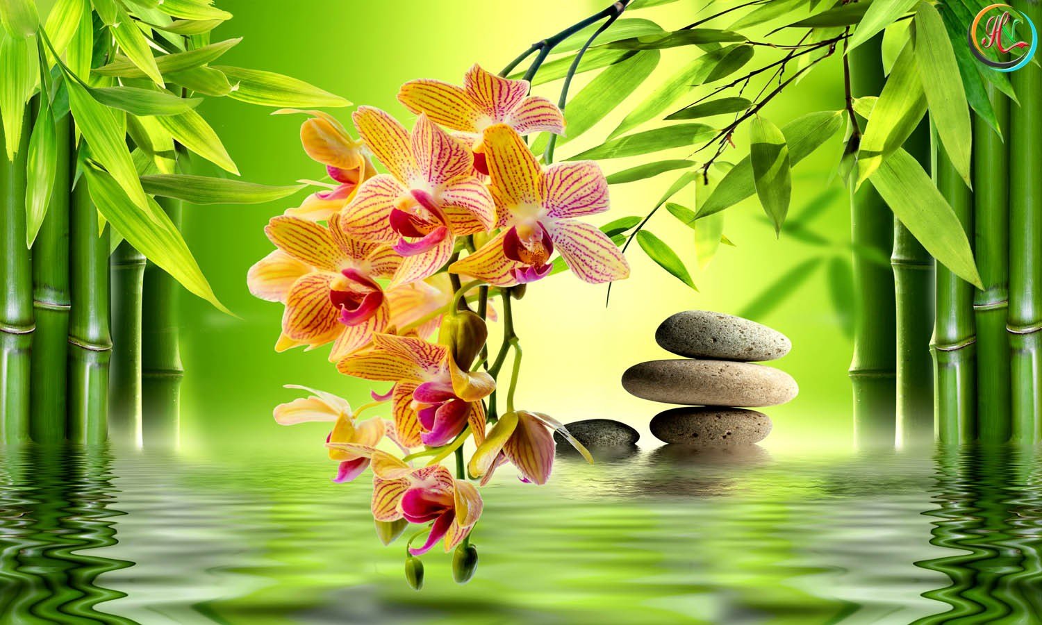 101+ Mẫu Hình ảnh Spa Thiên Nhiên đẹp – Xu Hướng Hiện Nay